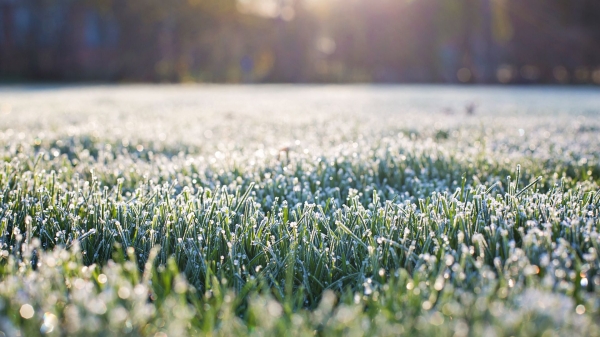 Заморозки ударили в одиннадцати регионах Европейской территории России Заморозки ударили в одиннадцати регионах Европейской территории России