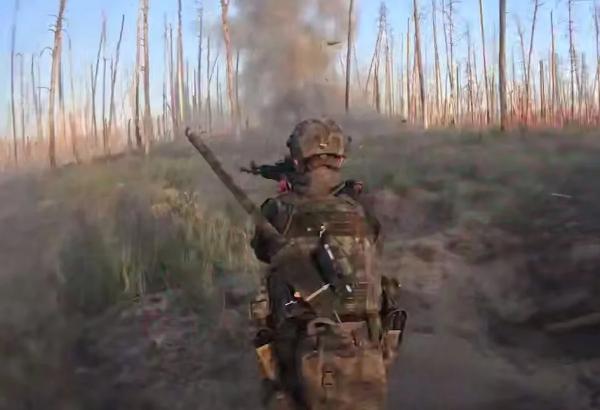 Осознают реальность: эксперт сказал о бегстве комбрига и ВСУ под Липцами