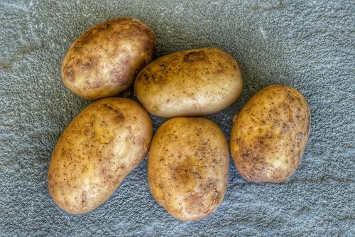 Диетолог рассказала, чем опасен позеленевший картофель