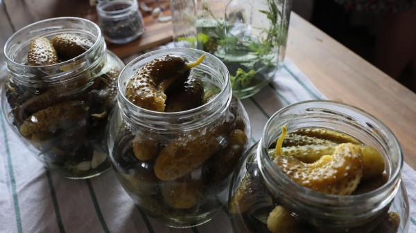 Роспотребнадзор: при домашнем консервировании банки должны быть целыми