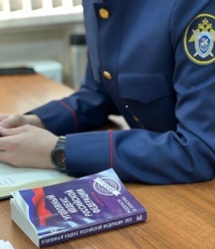 СК РФ ужесточил статью после гибели избитого мигрантами в Подмосковье футболиста