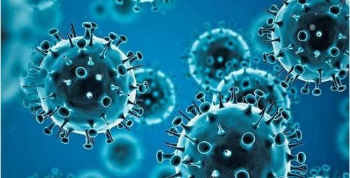 В России растёт количество заболевших новым штаммом коронавируса