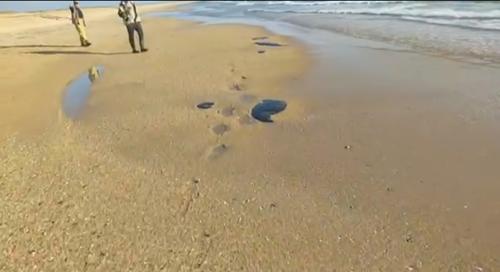 Власти Кубани строят 13-километровый вал против новой мазутной волны